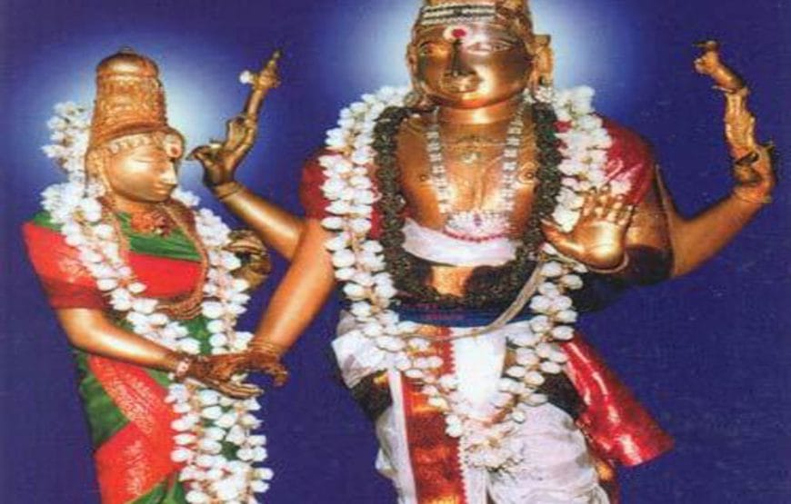 Private Tour to Thirumanancheri Temple