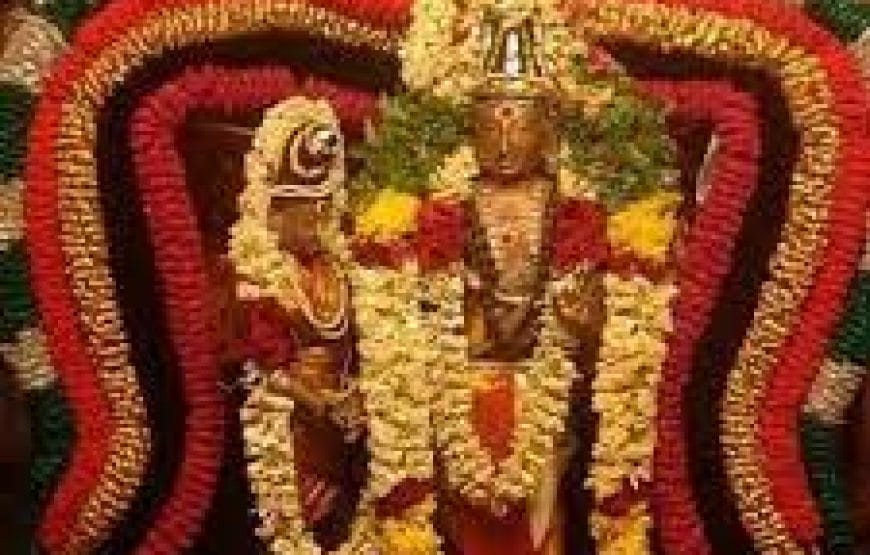 Private Tour to Thirumanancheri Temple