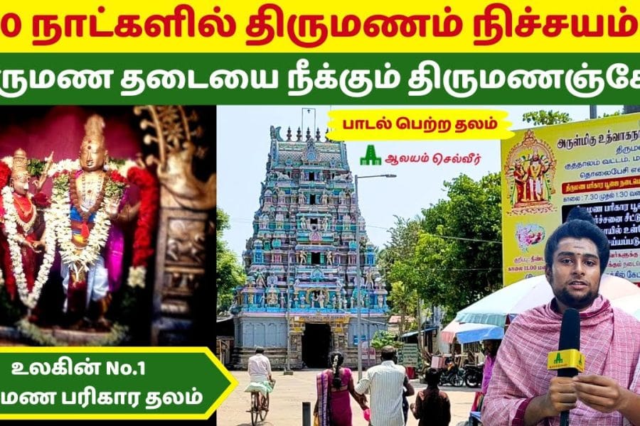 Private Tour to Thirumanancheri Temple
